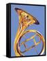 French Horn 8-David Chestnutt-Framed Stretched Canvas