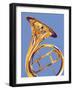 French Horn 8-David Chestnutt-Framed Giclee Print