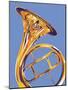 French Horn 8-David Chestnutt-Mounted Giclee Print