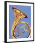 French Horn 8-David Chestnutt-Framed Giclee Print