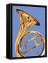 French Horn 8-David Chestnutt-Framed Stretched Canvas