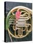 French Horn with a Tulip-Martin Fox-Stretched Canvas