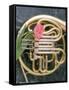 French Horn with a Tulip-Martin Fox-Framed Stretched Canvas