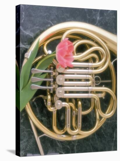 French Horn with a Tulip-Martin Fox-Stretched Canvas