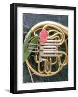 French Horn with a Tulip-Martin Fox-Framed Photographic Print