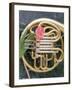 French Horn with a Tulip-Martin Fox-Framed Photographic Print