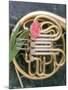 French Horn with a Tulip-Martin Fox-Mounted Photographic Print