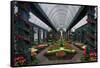 French Indoor Garden-George Oze-Framed Stretched Canvas