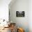 French Indoor Garden-George Oze-Photographic Print displayed on a wall