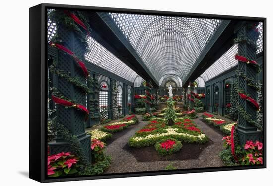 French Indoor Garden-George Oze-Framed Stretched Canvas