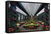 French Indoor Garden-George Oze-Framed Stretched Canvas