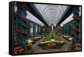 French Indoor Garden-George Oze-Framed Stretched Canvas