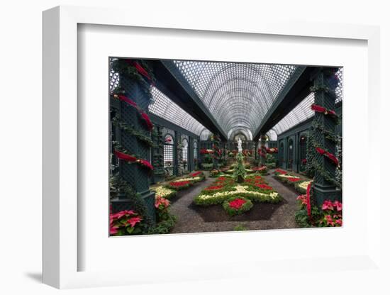 French Indoor Garden-George Oze-Framed Photographic Print