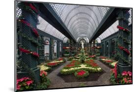 French Indoor Garden-George Oze-Mounted Photographic Print