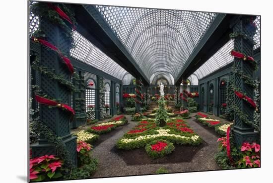 French Indoor Garden-George Oze-Mounted Photographic Print