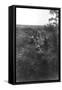 French Infantry Position in a Sunken Lane, North of Villers-Cotterets, Aisne, France, 1918-null-Framed Stretched Canvas