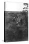 French Infantry Position in a Sunken Lane, North of Villers-Cotterets, Aisne, France, 1918-null-Stretched Canvas