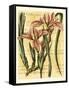 French Iris-Samuel Curtis-Framed Stretched Canvas