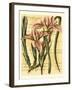 French Iris-Samuel Curtis-Framed Art Print