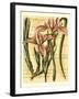 French Iris-Samuel Curtis-Framed Art Print