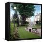 French Jardin No. 14-Alan Blaustein-Framed Stretched Canvas