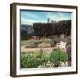 French Jardin No. 27-Alan Blaustein-Framed Photographic Print