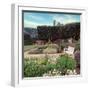 French Jardin No. 27-Alan Blaustein-Framed Photographic Print
