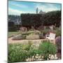 French Jardin No. 27-Alan Blaustein-Mounted Photographic Print