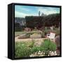 French Jardin No. 27-Alan Blaustein-Framed Stretched Canvas