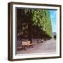 French Jardin No. 9-Alan Blaustein-Framed Photographic Print