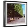 French Jardin No. 9-Alan Blaustein-Framed Photographic Print