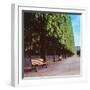 French Jardin No. 9-Alan Blaustein-Framed Photographic Print