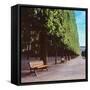 French Jardin No. 9-Alan Blaustein-Framed Stretched Canvas