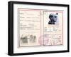 French Jewish Identity Card-null-Framed Giclee Print