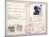 French Jewish Identity Card-null-Mounted Giclee Print