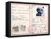 French Jewish Identity Card-null-Framed Stretched Canvas