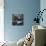 French Journalist Fernand De Brinon Sitting at His Desk-null-Mounted Photographic Print displayed on a wall