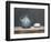 French Jug and Duck Egg, 2009-James Gillick-Framed Giclee Print