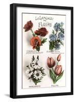 French Language of Flowers-null-Framed Art Print