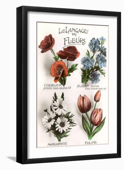 French Language of Flowers-null-Framed Art Print