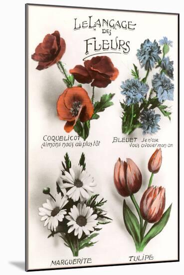 French Language of Flowers-null-Mounted Art Print