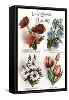 French Language of Flowers-null-Framed Stretched Canvas