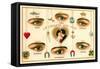 French Language of the Eyes-null-Framed Stretched Canvas