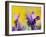 French Lavender at the Costa Vicentina, Algarve, Portugal. Portugal-Martin Zwick-Framed Photographic Print