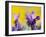 French Lavender at the Costa Vicentina, Algarve, Portugal. Portugal-Martin Zwick-Framed Photographic Print