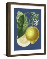 French Lemon on Navy I-A. Risso-Framed Art Print