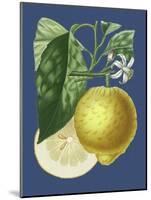 French Lemon on Navy I-A. Risso-Mounted Art Print