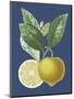 French Lemon on Navy II-A. Risso-Mounted Art Print