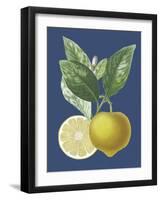 French Lemon on Navy II-A. Risso-Framed Art Print