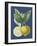 French Lemon on Navy II-A. Risso-Framed Art Print